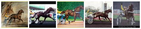 ELIMINATION DE CHEVAUX POUR LE TIERCE.